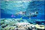 snorkelling