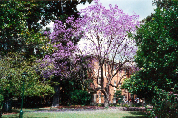 003-brisbane.jpg