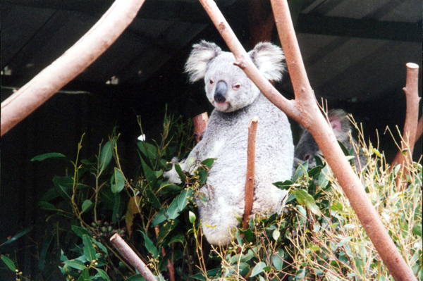 011-brisbane.jpg