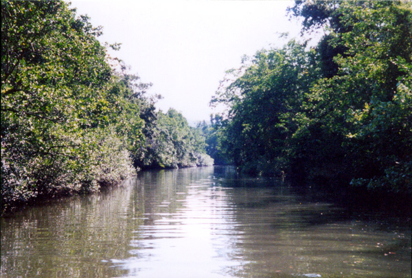 020-cairns-portdouglas.jpg