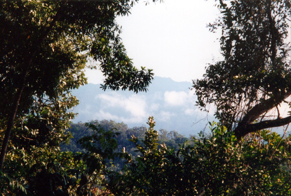 021-cairns-portdouglas.jpg