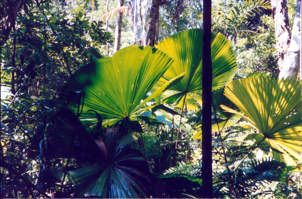 026-cairns-portdouglas.jpg