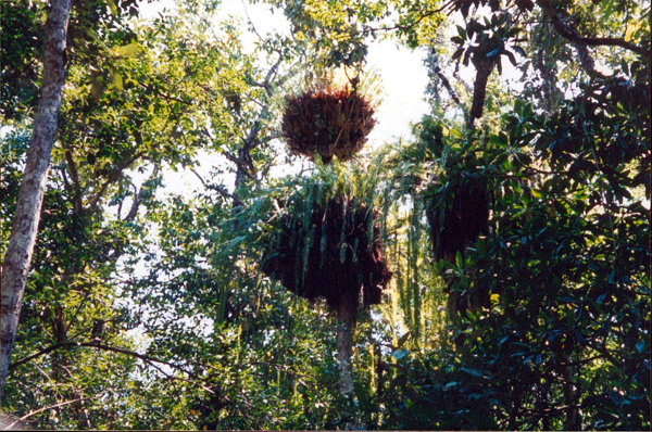029-cairns-portdouglas.jpg