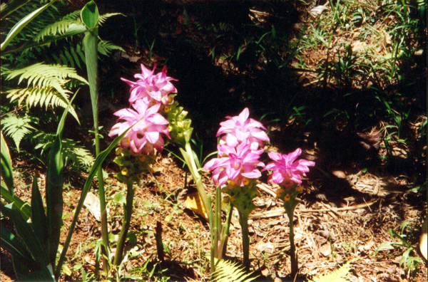 031-cairns-portdouglas.jpg