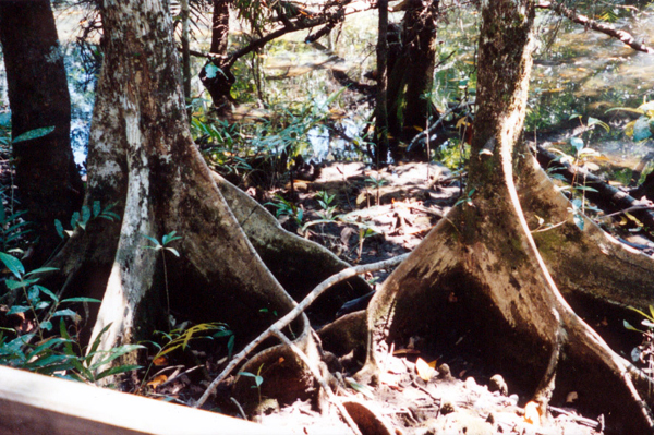 032-cairns-portdouglas.jpg