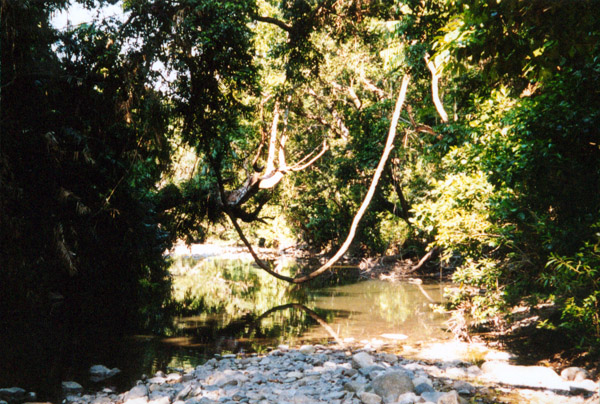 033-1-cairns-portdouglas.jpg