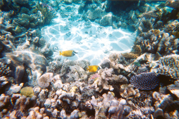 039-cairns-portdouglas.jpg
