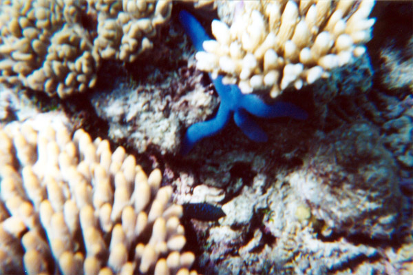 040-1-cairns-portdouglas.jpg