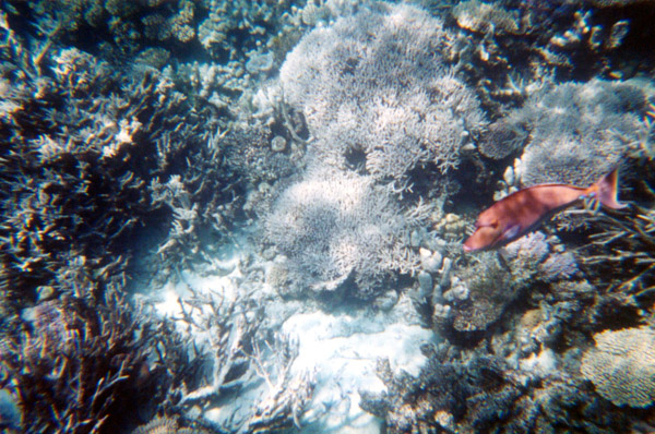040-2-cairns-portdouglas.jpg