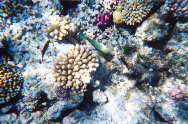 040-cairns-portdouglas.jpg