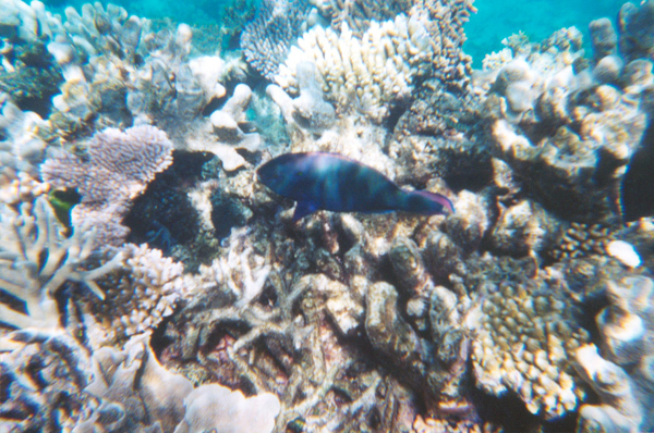 041-cairns-portdouglas.jpg