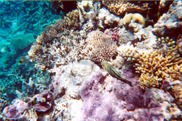 042-cairns-portdouglas.jpg