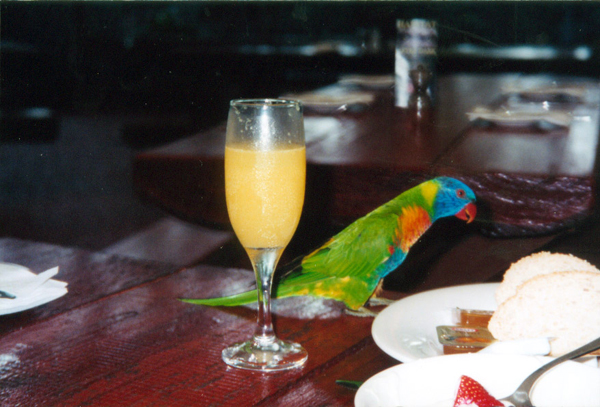 043-cairns-portdouglas.jpg