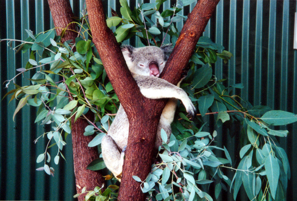 047-cairns-portdouglas.jpg