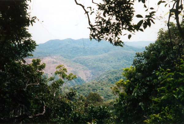 049-cairns-portdouglas.jpg