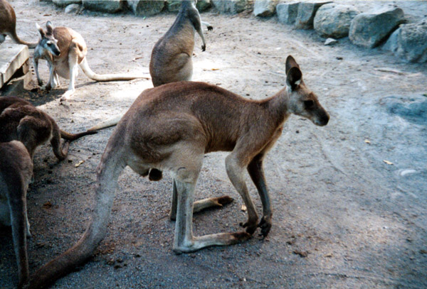 065-1-cairns-portdouglas.jpg
