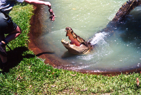 065-2-cairns-portdouglas.jpg