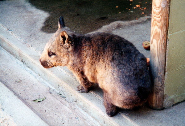 065-cairns-portdouglas.jpg