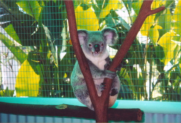 066-cairns-portdouglas.jpg
