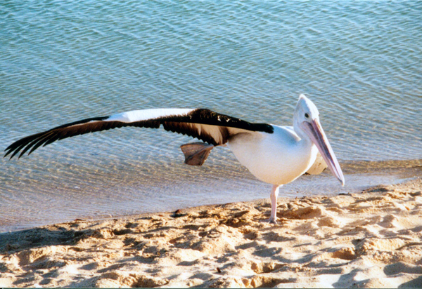 079-perth.jpg