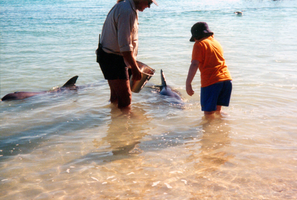 083-perth.jpg