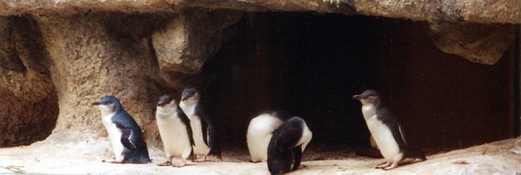 091-perth.jpg