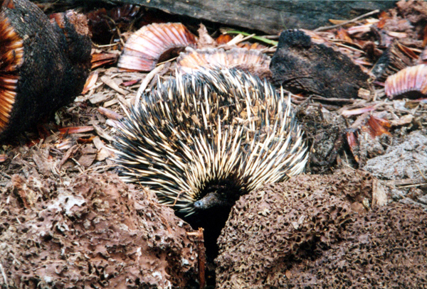 092-perth.jpg