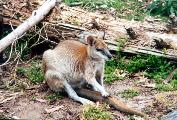 093-perth.jpg