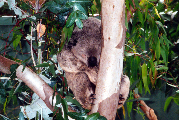 094-perth.jpg