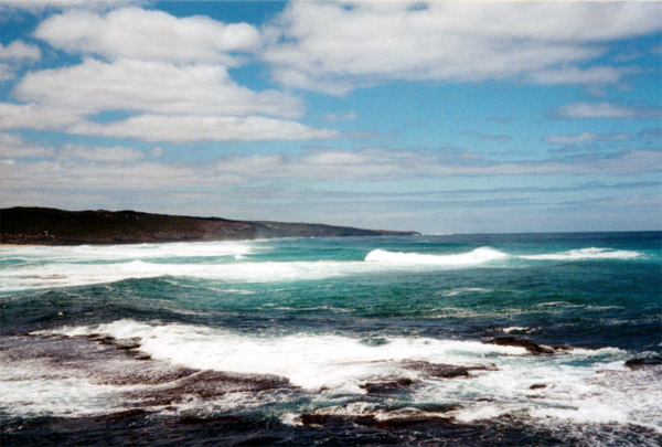 100-4-kangarooisland.jpg