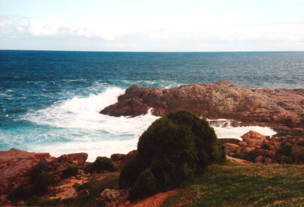 100-kangarooisland.jpg