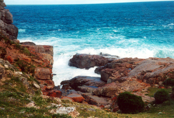 110-kangarooisland.jpg