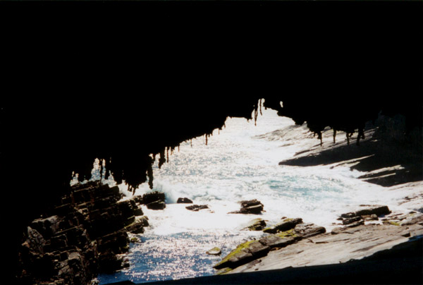 119-1-kangarooisland.jpg