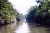 020-cairns-portdouglas