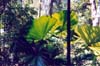 026-cairns-portdouglas