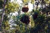 029-cairns-portdouglas