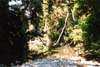 033-1-cairns-portdouglas