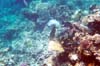 038-cairns-portdouglas