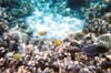 039-cairns-portdouglas
