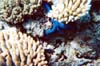 040-1-cairns-portdouglas