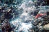 040-2-cairns-portdouglas