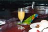 043-cairns-portdouglas