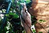 046-1-cairns-portdouglas