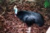 046-cairns-portdouglas