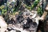 053-1-cairns-portdouglas