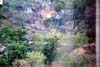 056-cairns-portdouglas