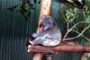 061-cairns-portdouglas