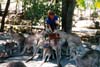 063-cairns-portdouglas