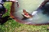 065-2-cairns-portdouglas