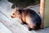 065-cairns-portdouglas